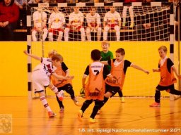 mini-Schlins-U9-Spiegl-DSC_1158